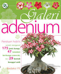 Image of Galeri Adenium