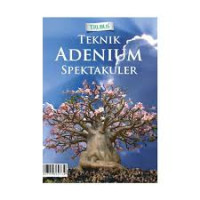 Image of Teknik Adenium Spektakuler